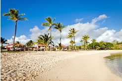 Newmarket Holidays adds two new South Africa safaris