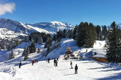 Skiing holidays