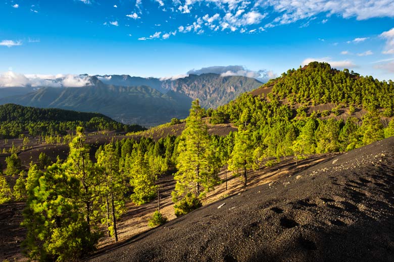 Canary Islands sunshine away from the beach © Eric Gevaert - Dreamstime.com